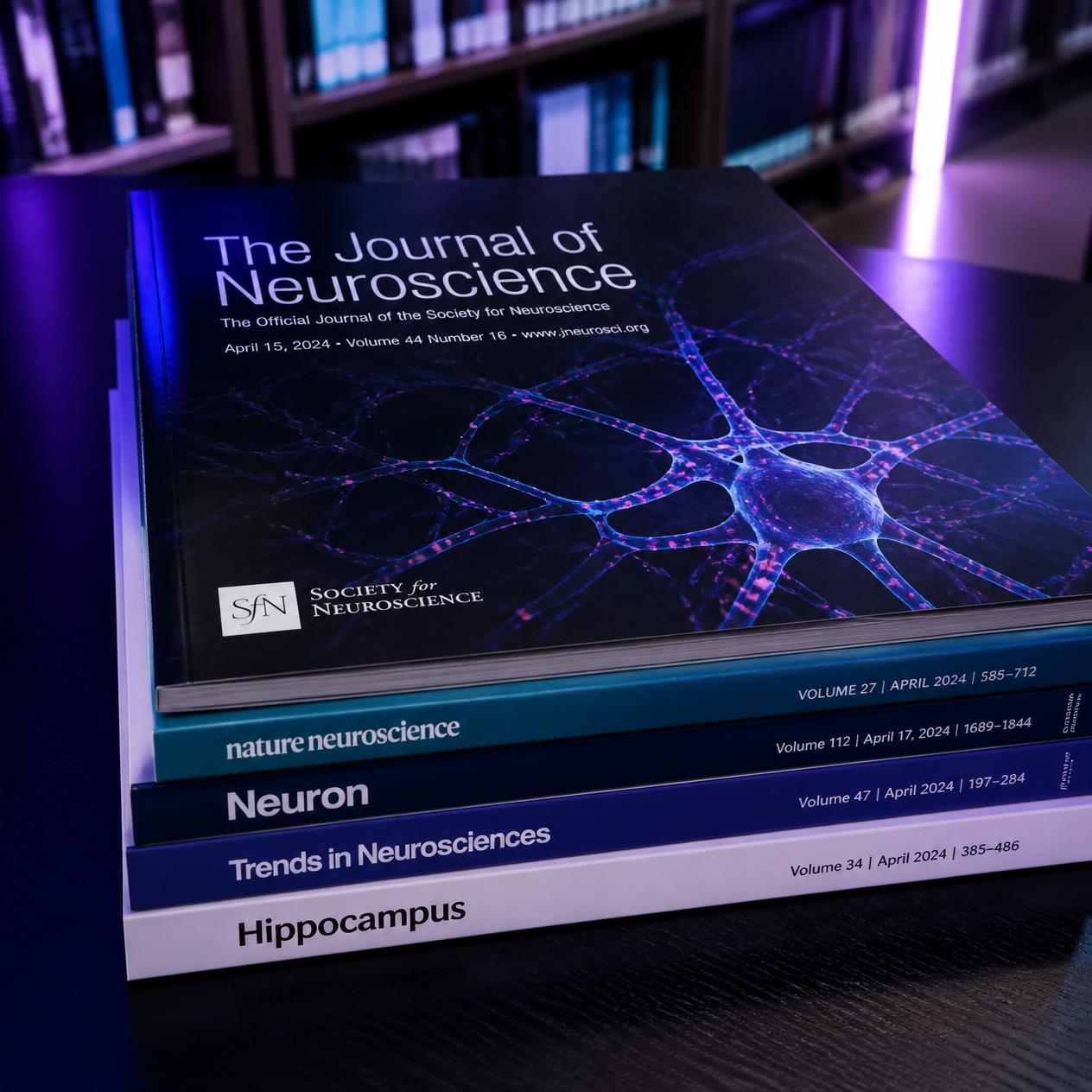 journal6